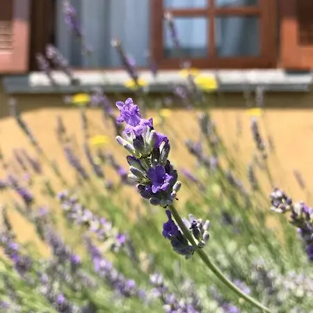 Casa Privata Con Splendida Vista 