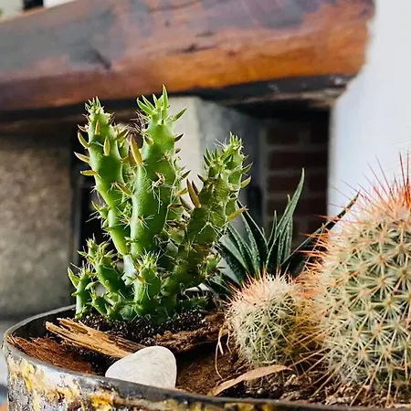 Casa Privata Con Splendida Vista 