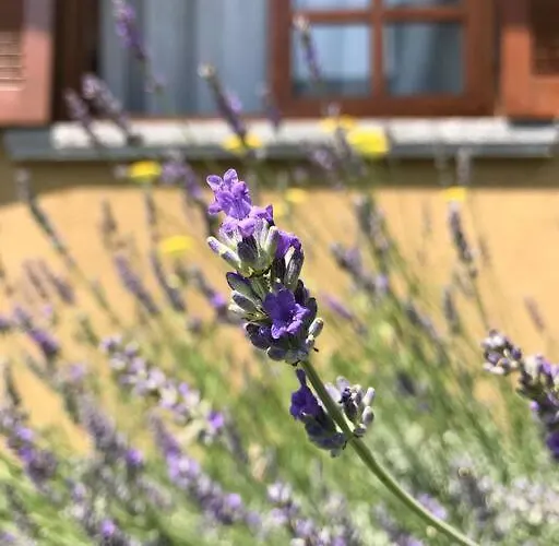 Casa Privata Con Splendida Vista 