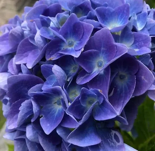 Casa Privata Con Splendida Vista 