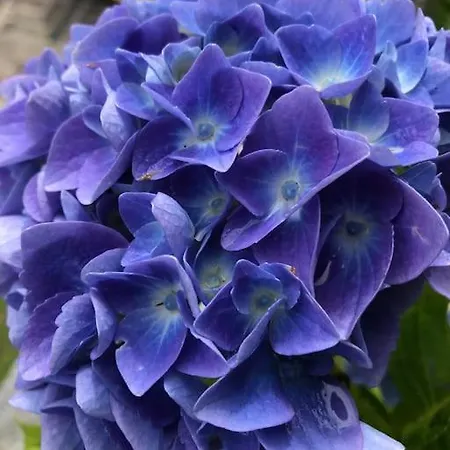 Casa Privata Con Splendida Vista 